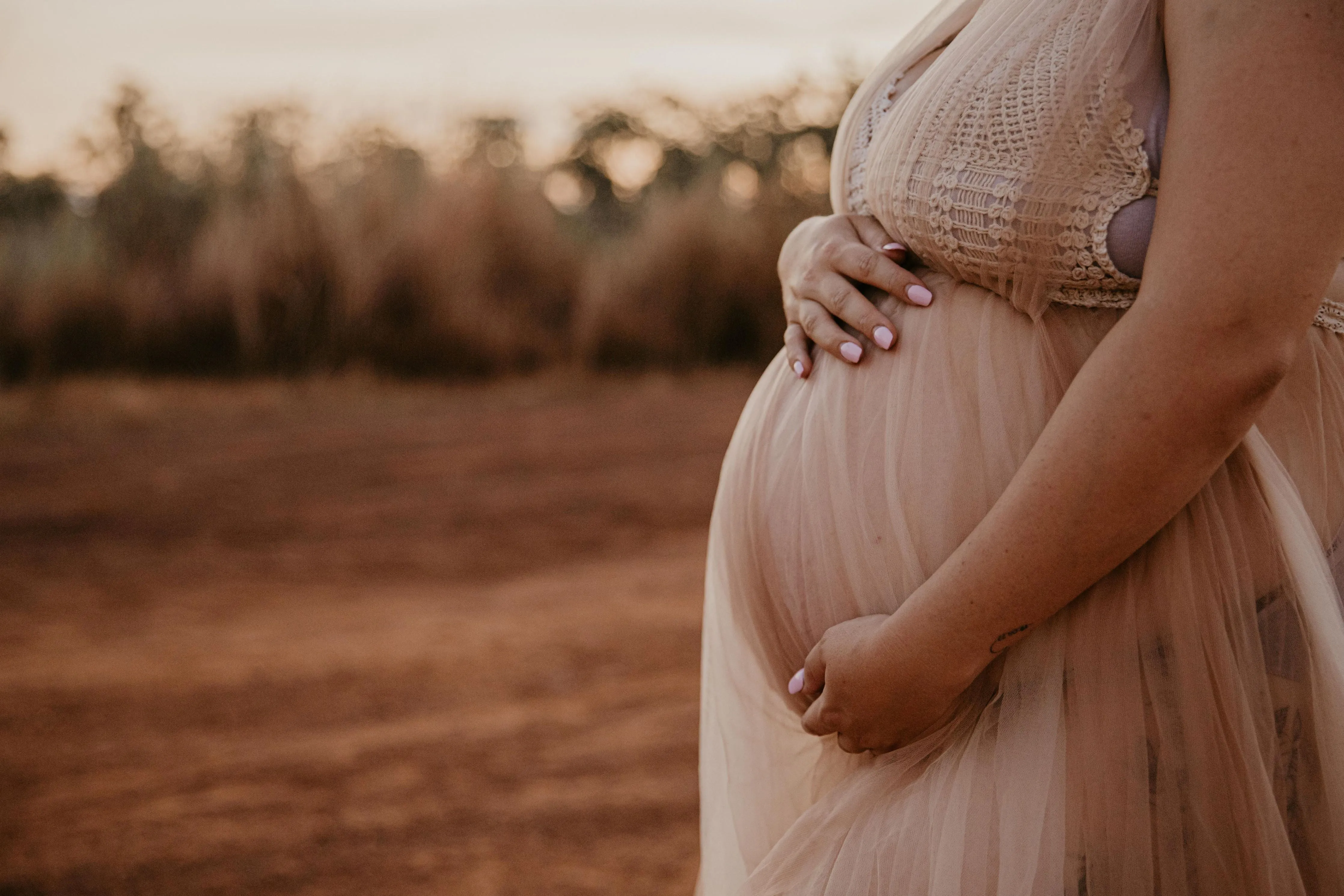 Dress Hire - Maternity Photoshoot Dresses - D&J - Lace and Tulle Dress - DAY RENTAL