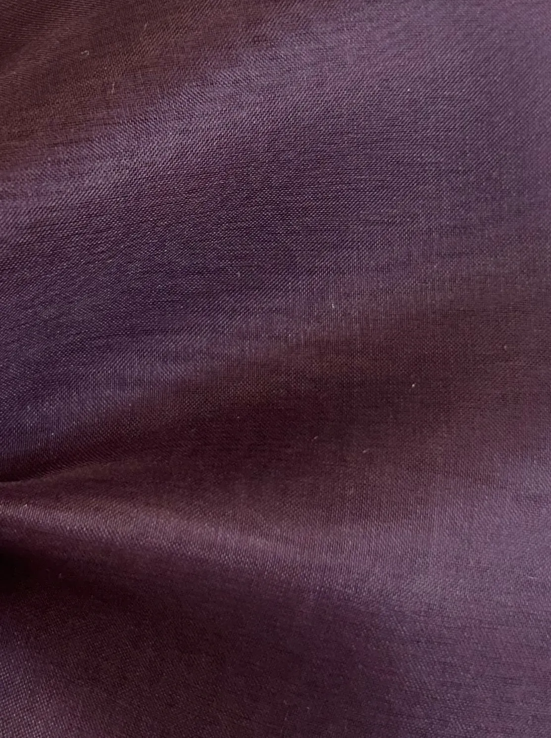 Grape Silk Organza - Evolution