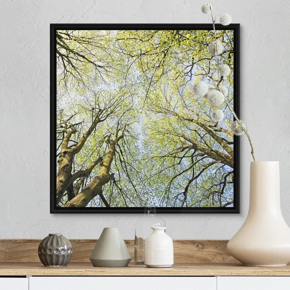 "Looking up at tree tops in woodland." Black Float Frame Canvas Art - Multi