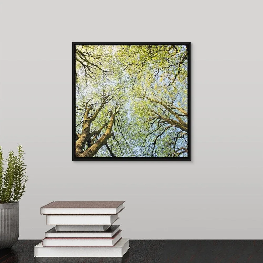 "Looking up at tree tops in woodland." Black Float Frame Canvas Art - Multi